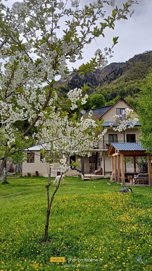 House B&B Местия Екстериор снимка