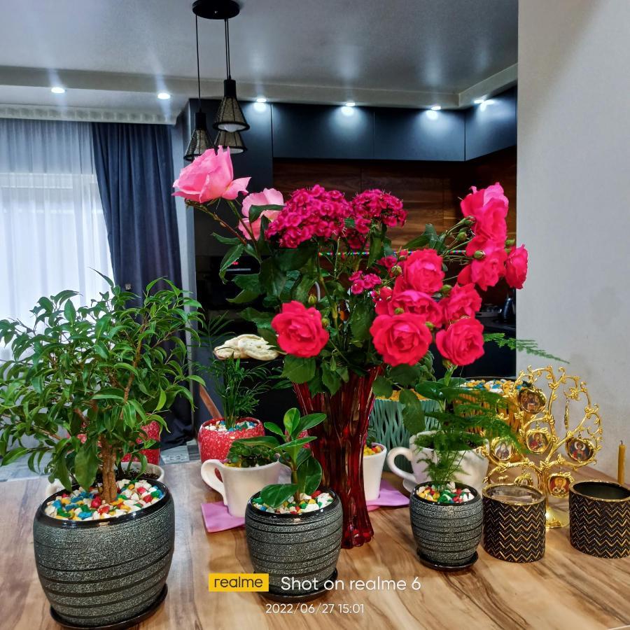 House B&B Местия Екстериор снимка