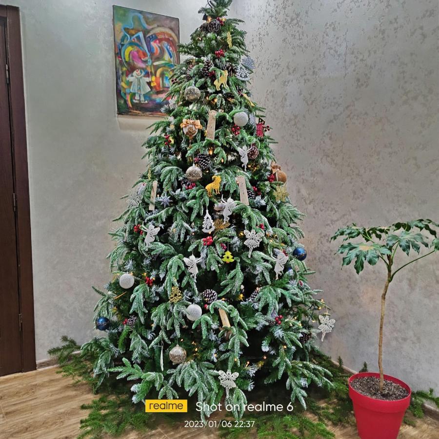 House B&B Местия Екстериор снимка
